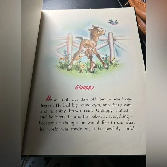Gidappy Illustrated Children's Book - Picture 8 of 14